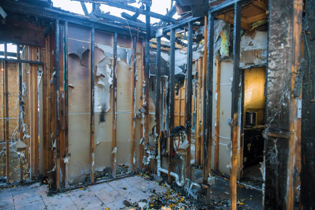 Professional Fire Damage Assessment technician working in Vista Center, NJ